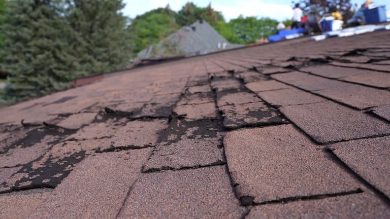 Emergency Roof Repair in Haymarket, VA